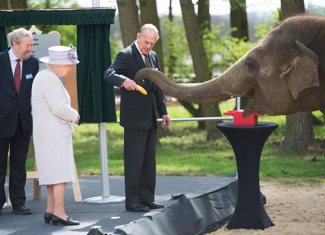 La Reina Isabel II y el Duque de Edimburgo junto a un elefante
