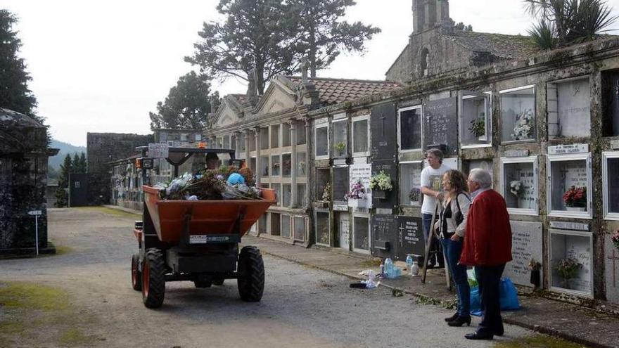 Operarios municipales trabajan en la limpieza del cementerio de San Mauro.