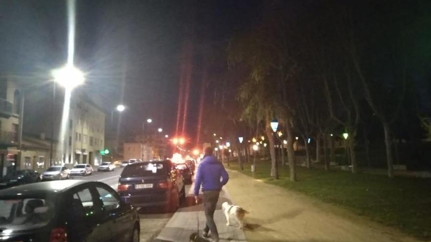 Un hombre pasea a sus perros por el parque de San Martín.