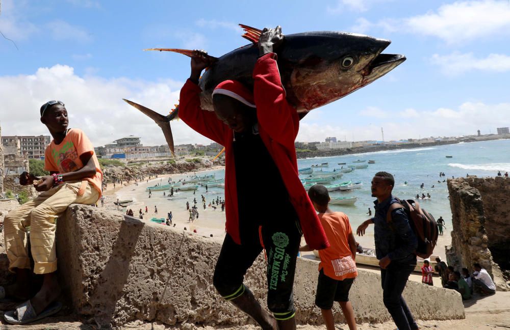 A fisherman carries his catch near a fishing ...