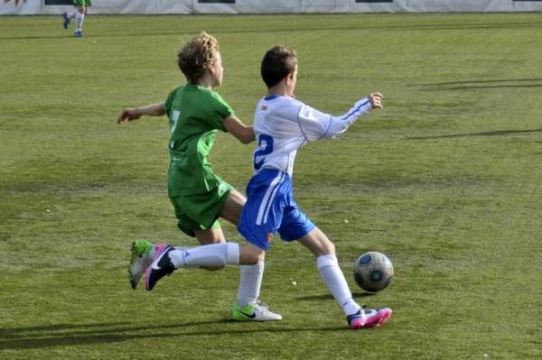 FÚTBOL: ST Casablanca - Real Zaragoza (División de Honor Infantil)