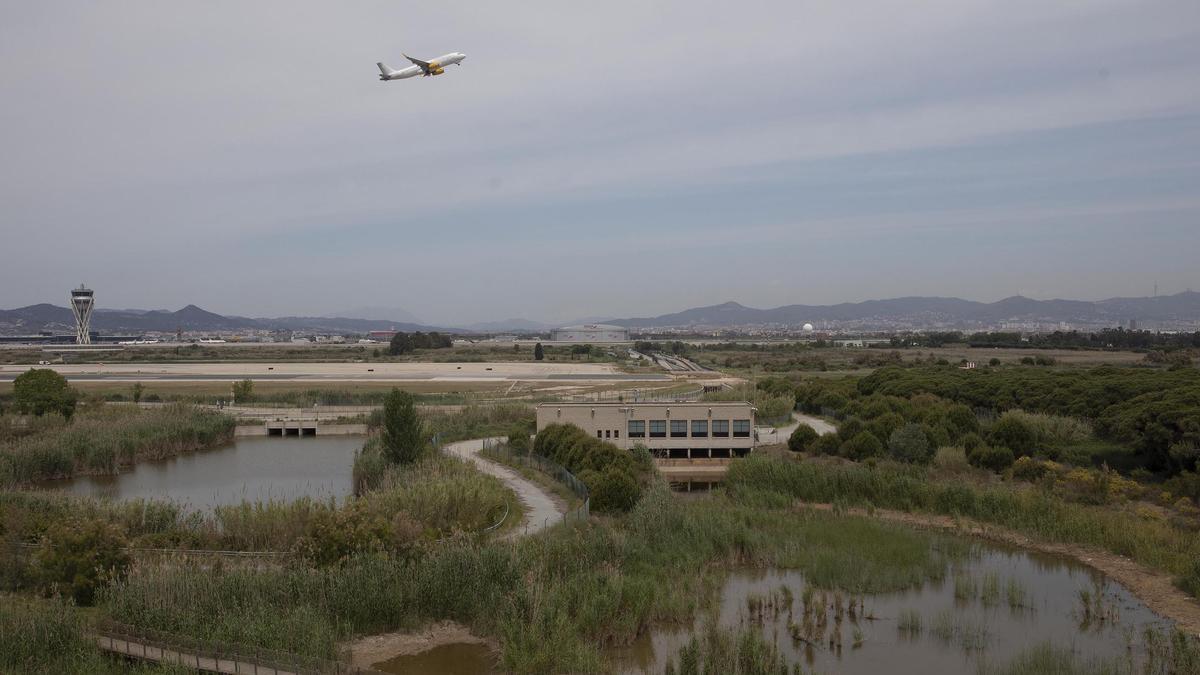 El estanque de la Illa, junto a la playa de El Prat