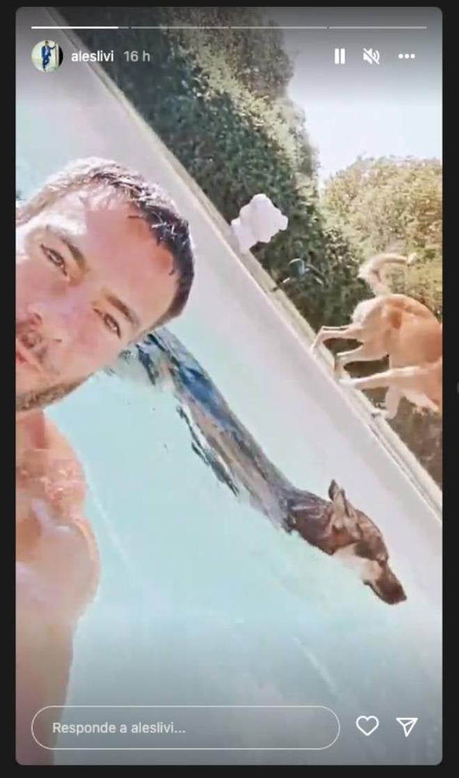 Un Instagram stories de Alessandro Livi: en la piscina con los perros de Aitana Ocaña