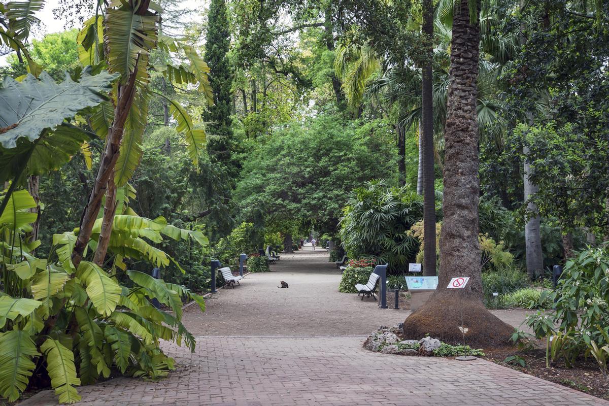 Jardines botánicos de Valencia