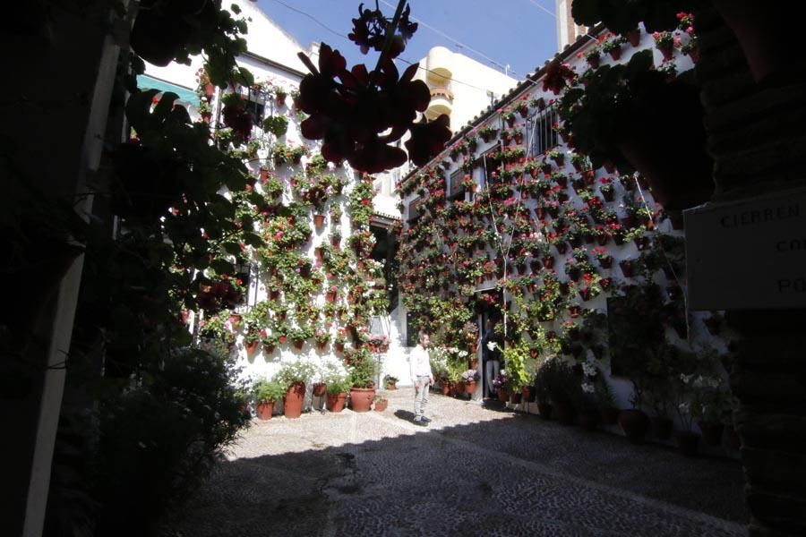 Los Patios de Córdoba (2)