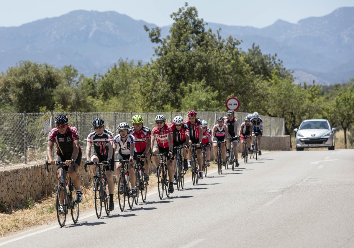 Un vehículo detrás de un grupo de ciclistas en una carretera de Mallorca