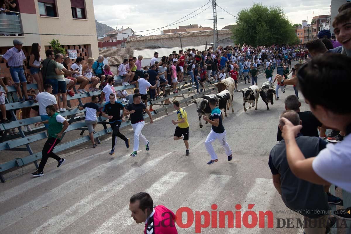 Primer encierro de la Feria del Arroz de Calasparra