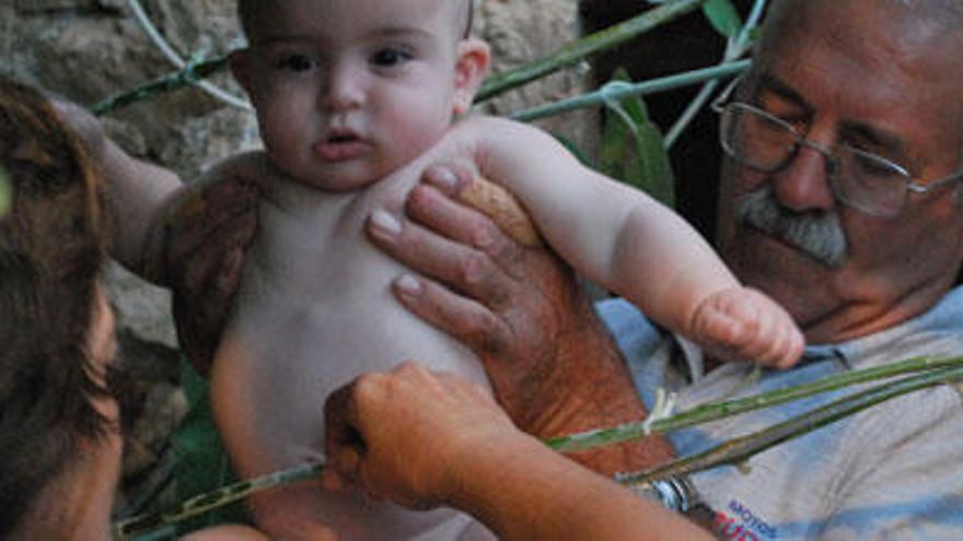 Hasta nuestros días se conserva la tradición de pasar a los niños con una hernia por el vimer tras la noche de Sant Joan.