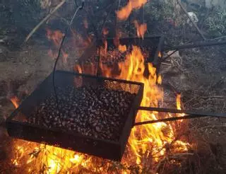 Castañas asadas: los sabores de Todos los Santos gratis en Trabazos y Sejas de Aliste