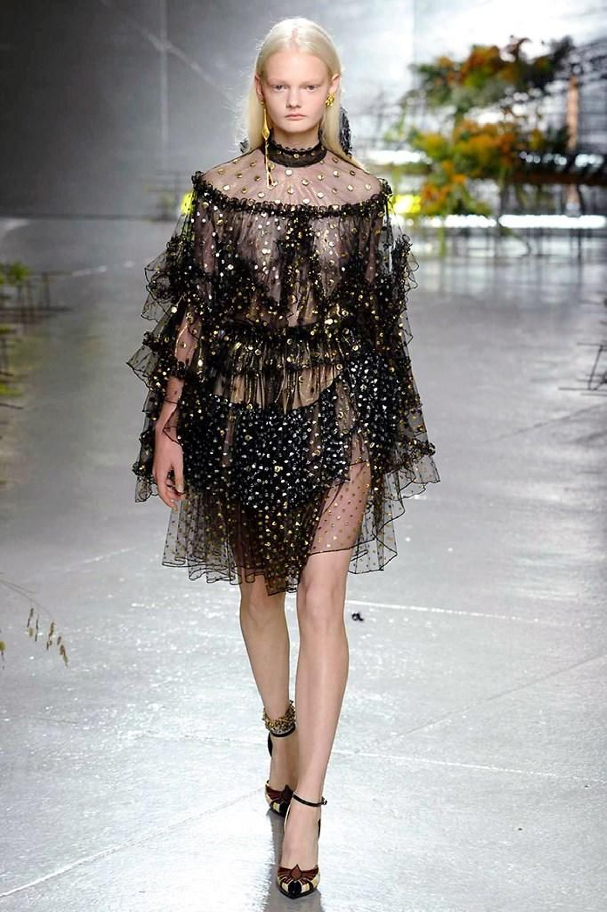 Rodarte