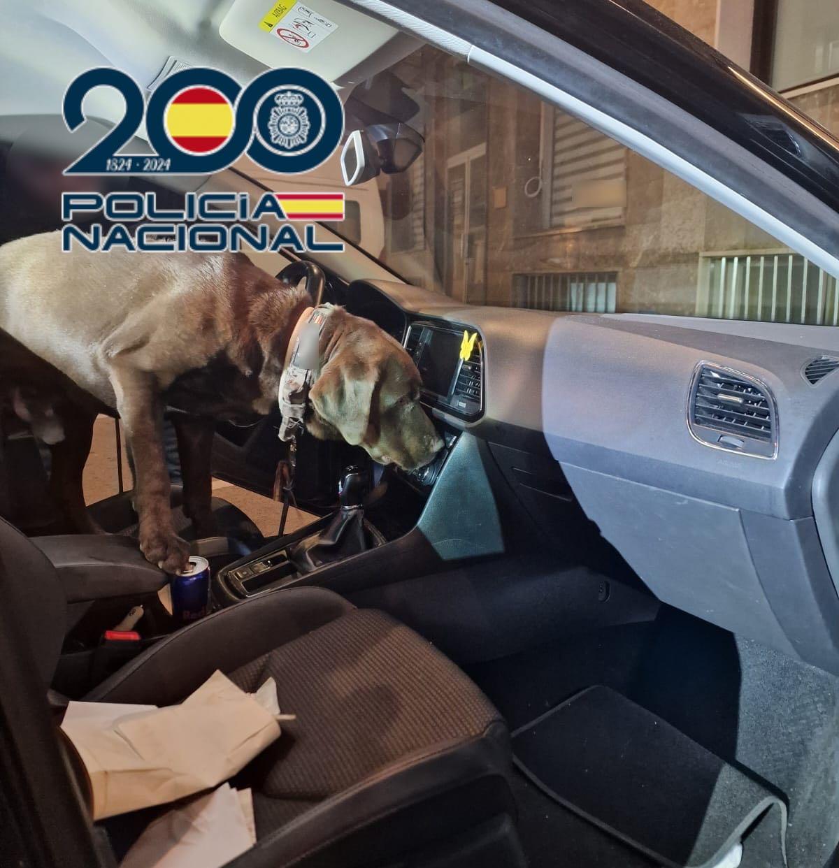 Registro del vehículo con la unidad de guías caninos.