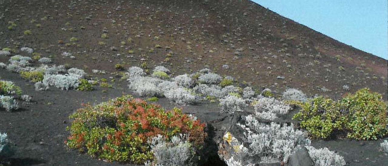 La cueva de don Justo, donde los ´huidos´ pasaron el primer invierno después del Alzamiento militar del 36.