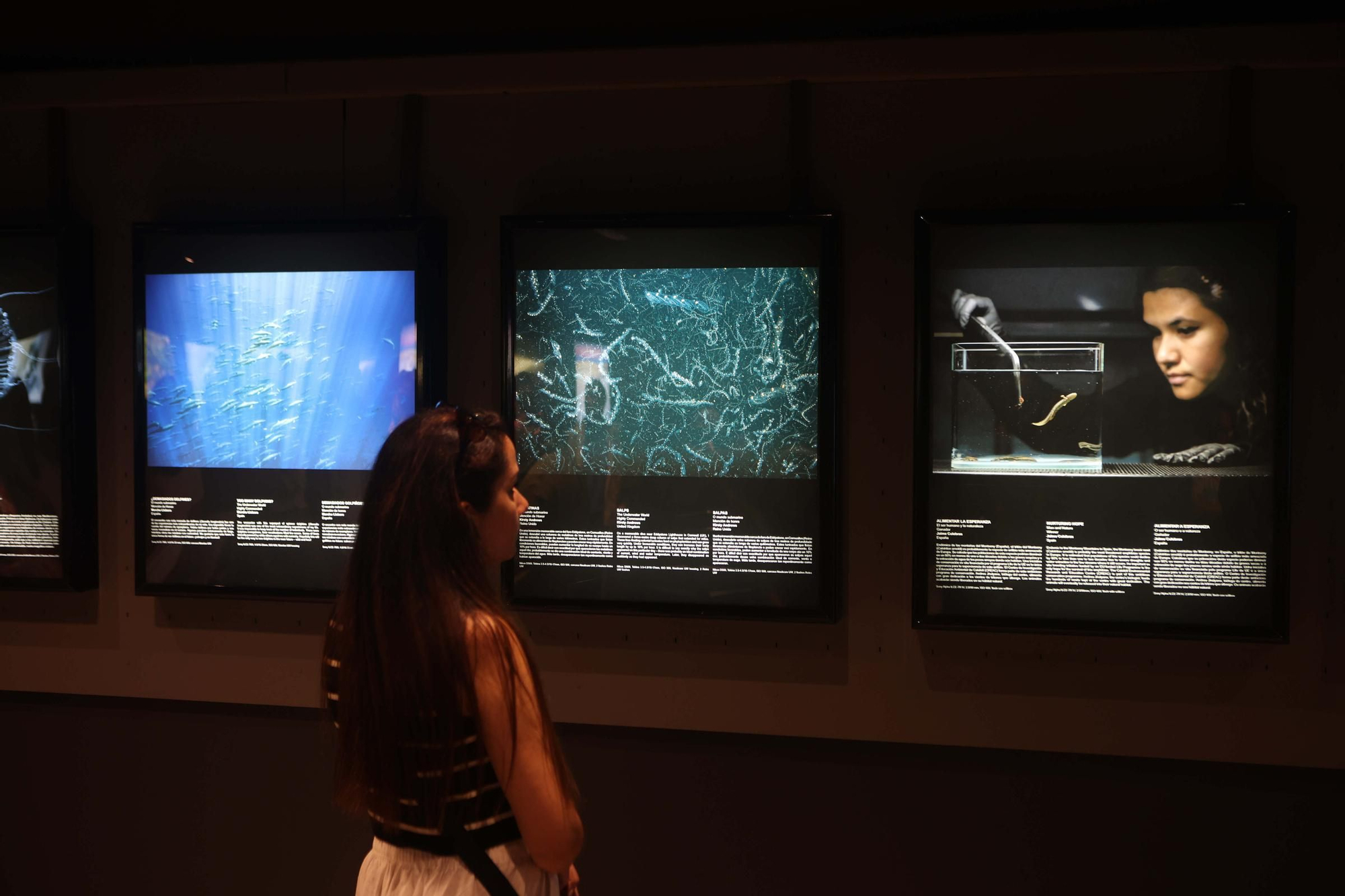 85 fotos forman parte de la exposición 'Fotógrafos na natureza' en el Aquarium