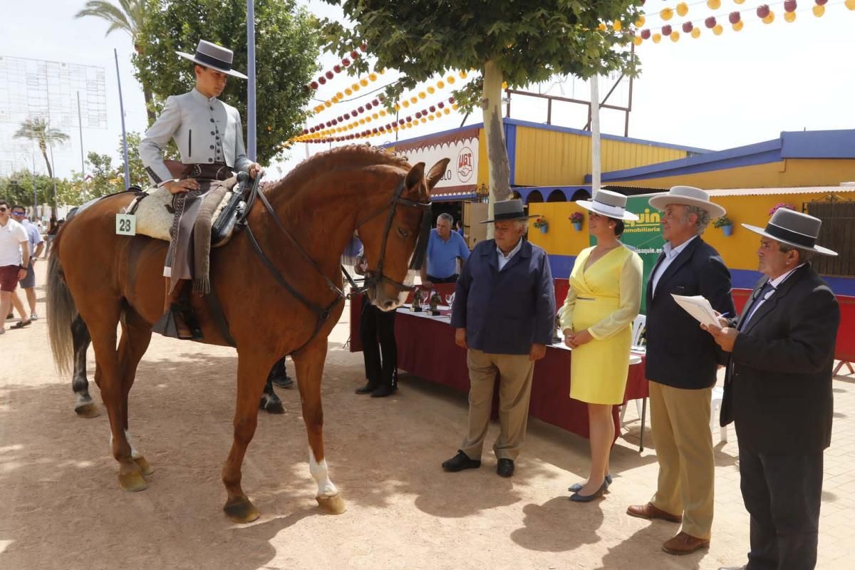 FOTOS: Última jornada en el Arenal.