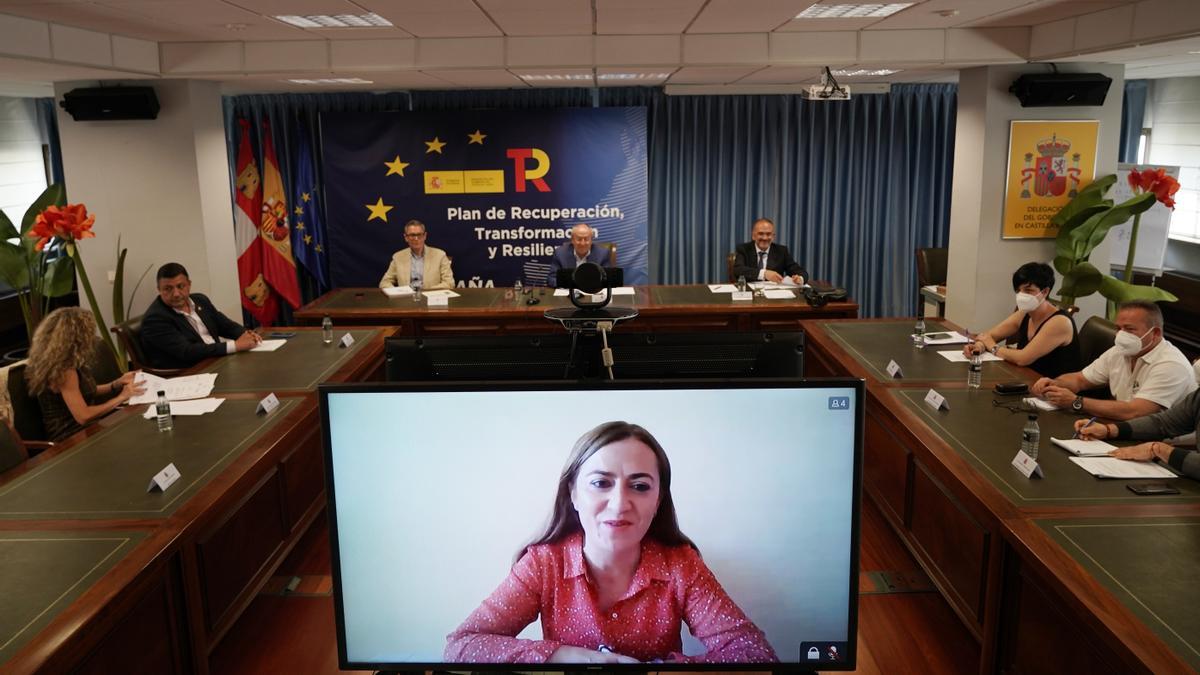 Barcones, durante la reunión de esta mañana, comparece de forma telemática.