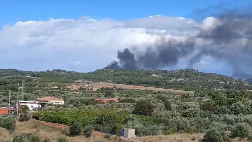 Vídeo: Un joven de 34 años herido en el incendio de una zona forestal de Onda