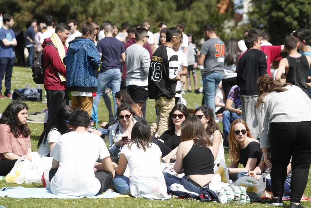 Comida en la Calle 2017: Parque Ferrera