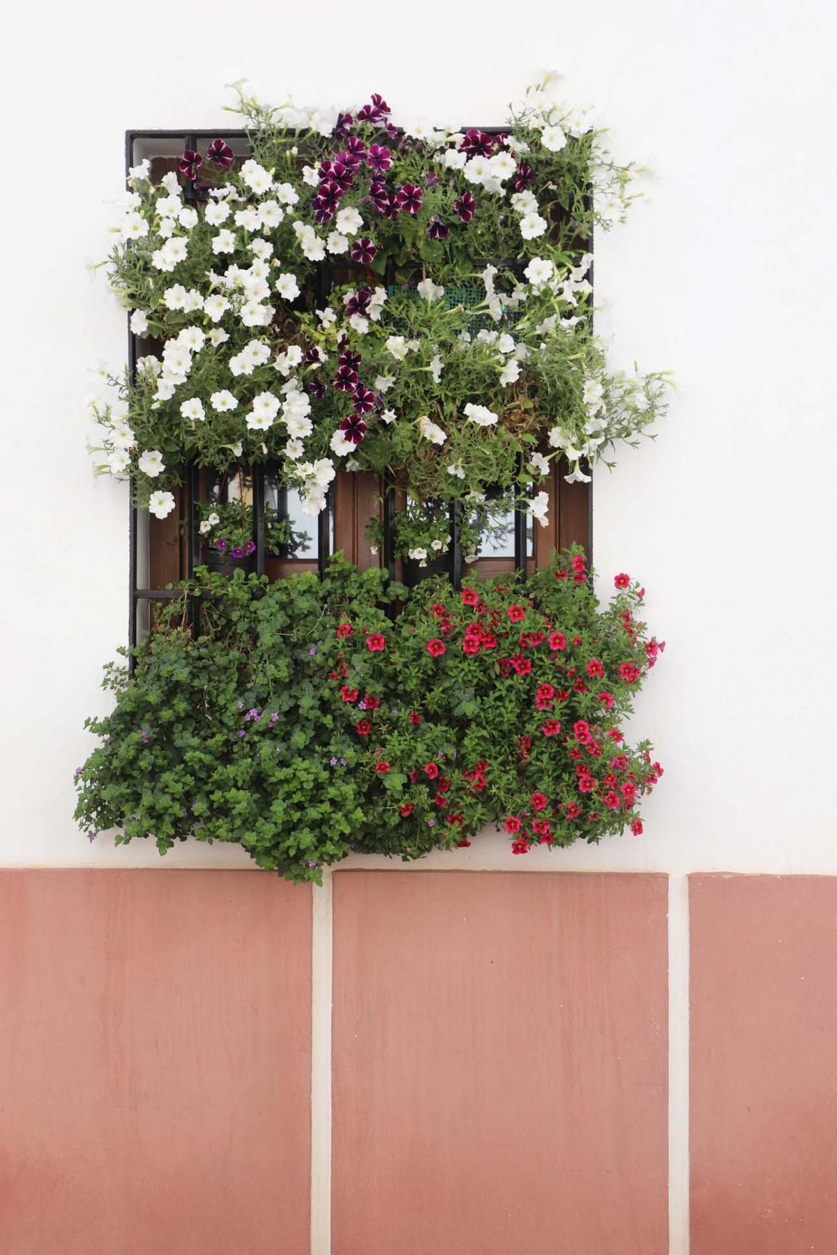 Rejas y balcones en junio