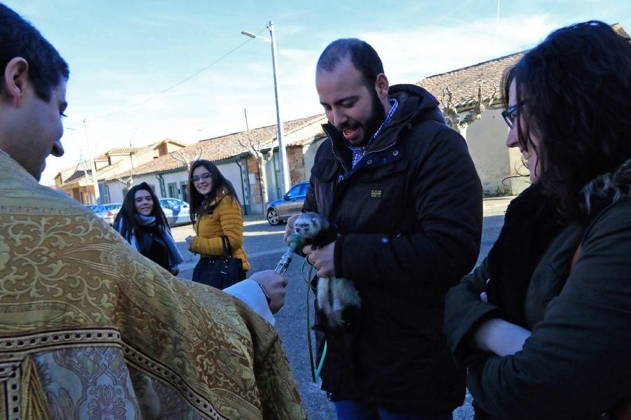 Monfarracinos celebra San Antón