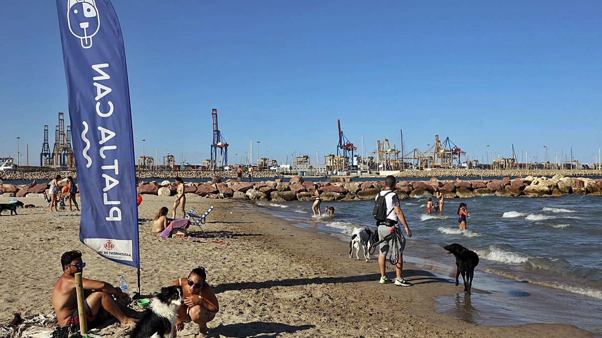 Propietarios, junto a sus perros, en la «platja can» de Pinedo.  | M.A. MONTESINOS