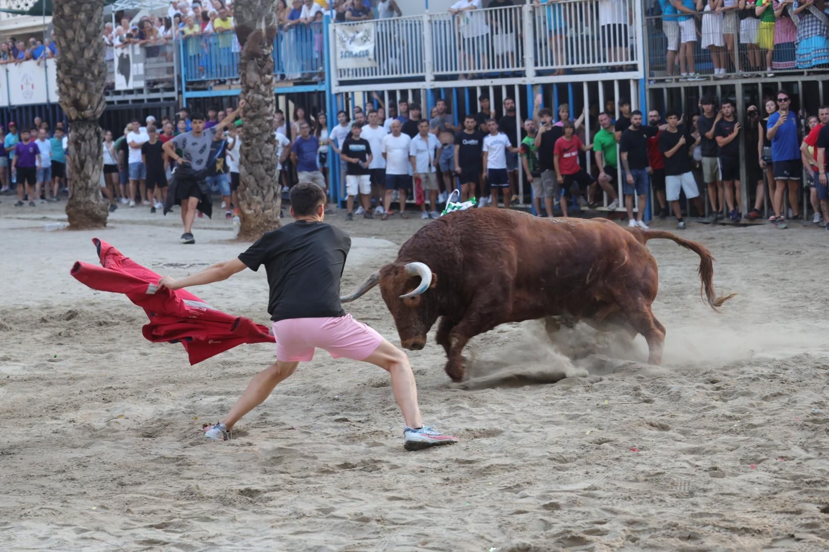 Galería | Intensa jornada taurina en Sant Pere 2025