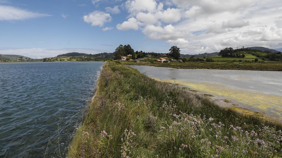 La ría de Villaviciosa se malbarata: la ruina de un entorno privilegiado asturiano