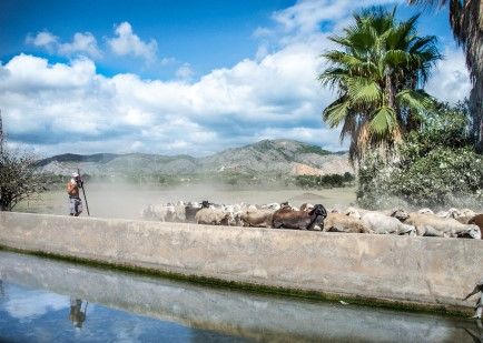 Tesoro de Castelló: Las mejores imágenes de la Marjalería