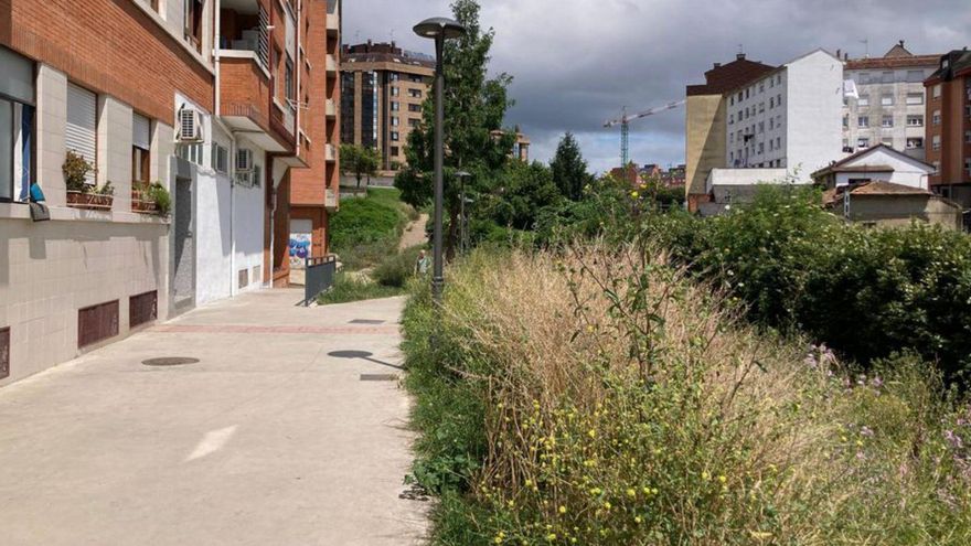 La zona que separa las viviendas de las vías llena de maleza. | LNE