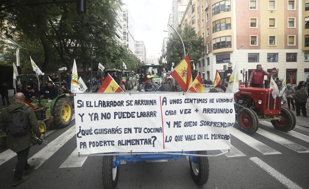 Así ha sido la manifestación de los agricultores en Murcia (II)