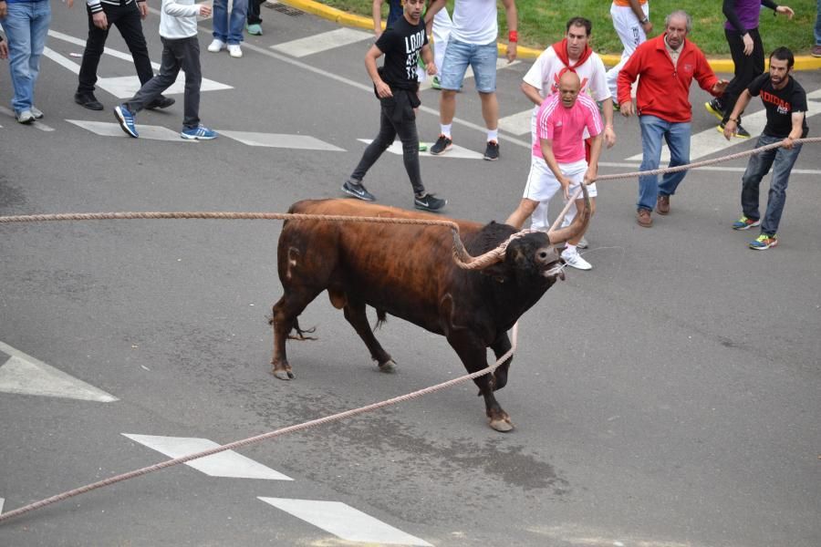 Enmaromado 2016: Lechugazo da la talla