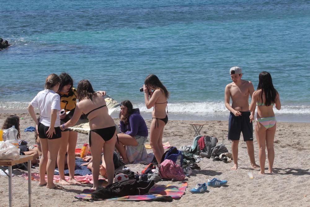 Día de la Mona en Cartagena