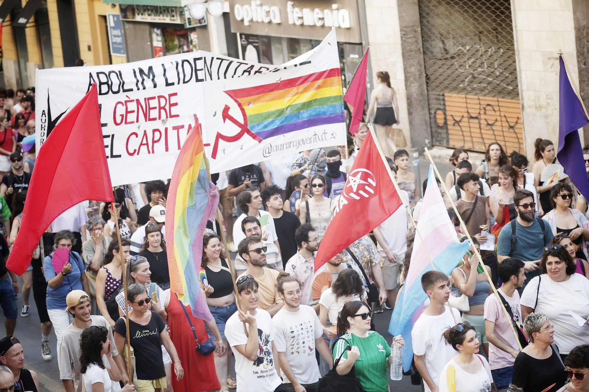 Orgullo 2025: las imágenes de las manifestaciones de Palma