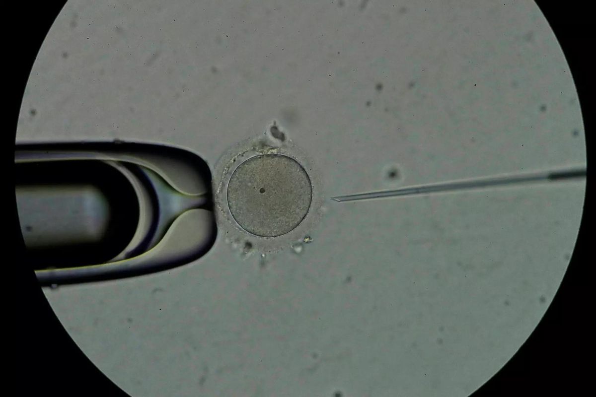 L'al·lèrgia al semen es pot tractar amb corticoides per minimitzar els símptomes.