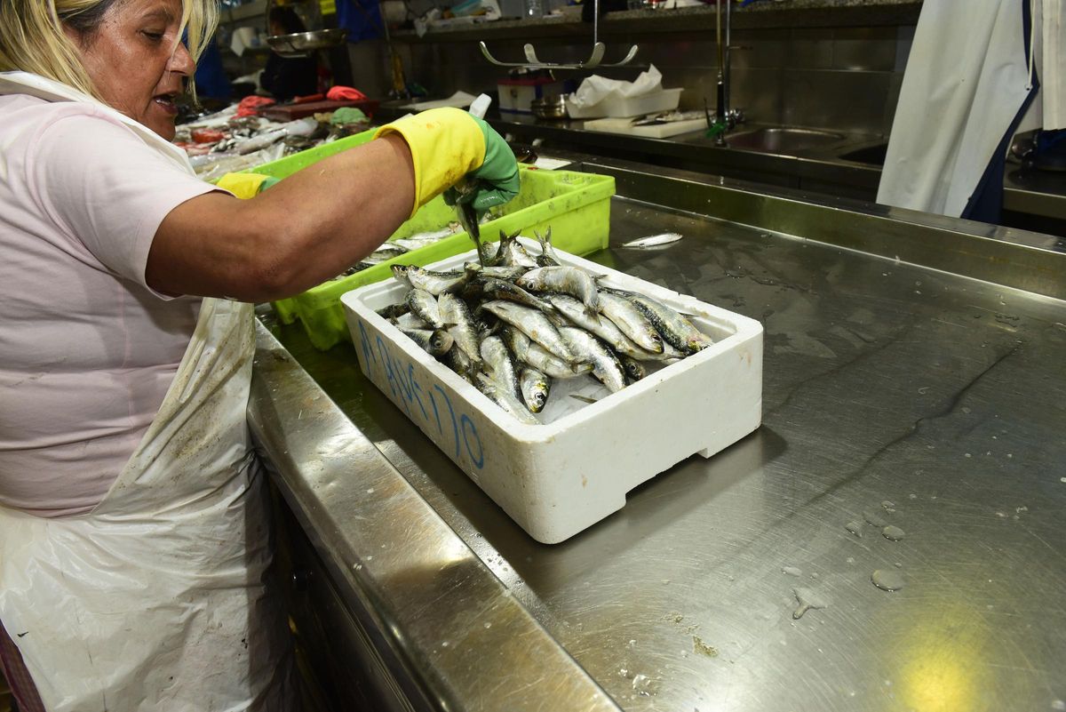 Sardinas en la Plaza de Lugo