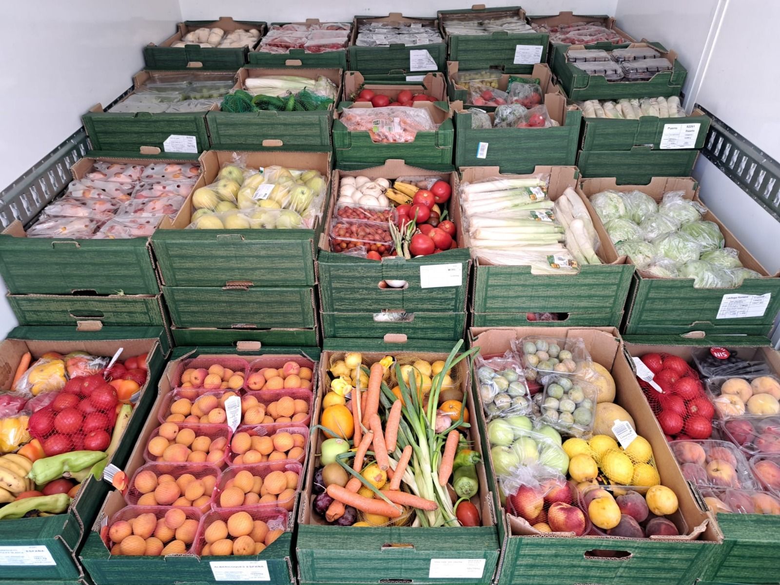 Solidaridad con sello mallorquín-alemán: Lions Club Palma lleva alimento a miles de personas en la isla