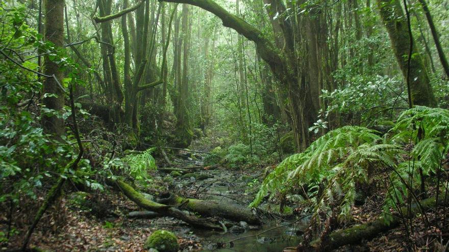 Las 7 rutas de senderismo más tops en Canarias: cuevas secretas y el Marte terrestre