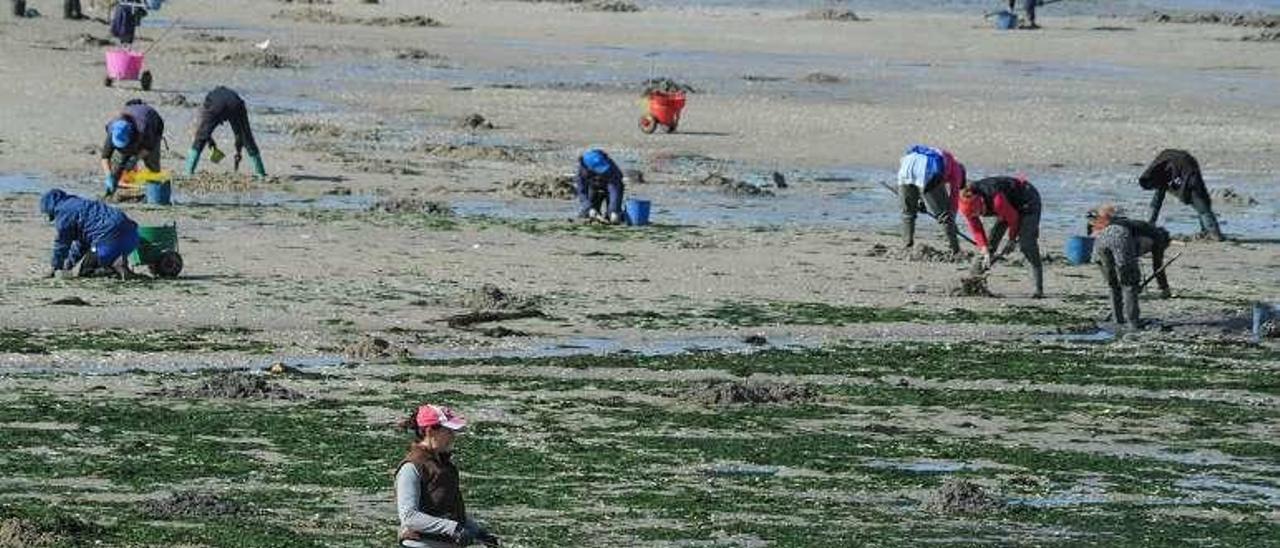 Mariscadoras de la cofradía de Vilaxoán en O Preguntoiro. // Iñaki Abella