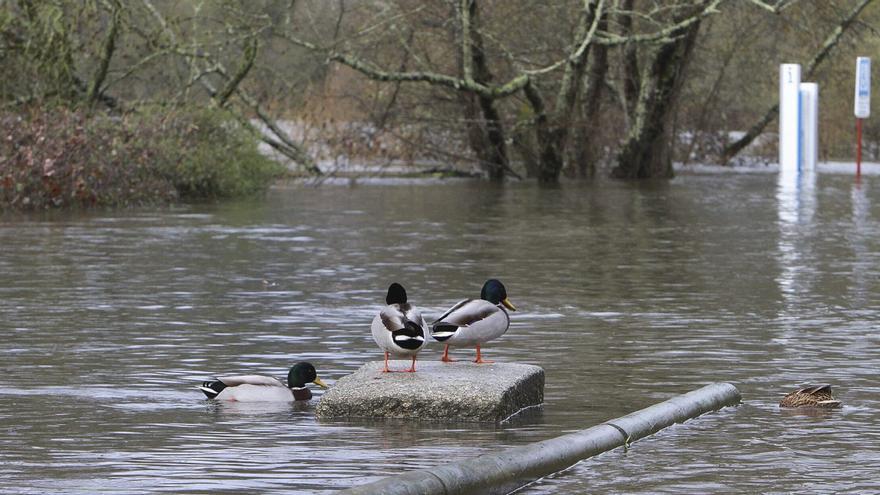 Las lluvias mantienen Ourense en alerta pendiente de la evolución de los caudales