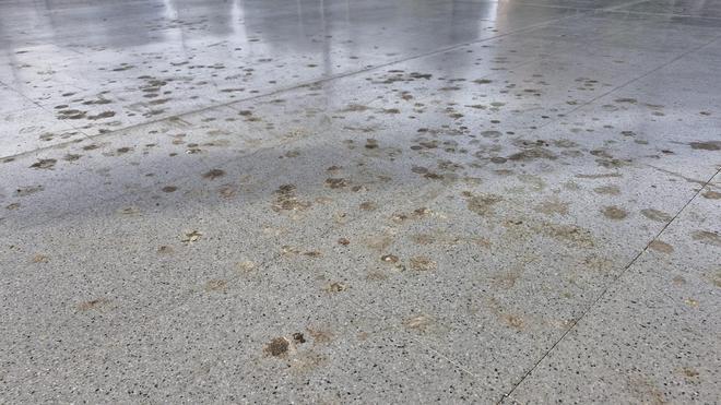 Estat de la pista de la Balconada
