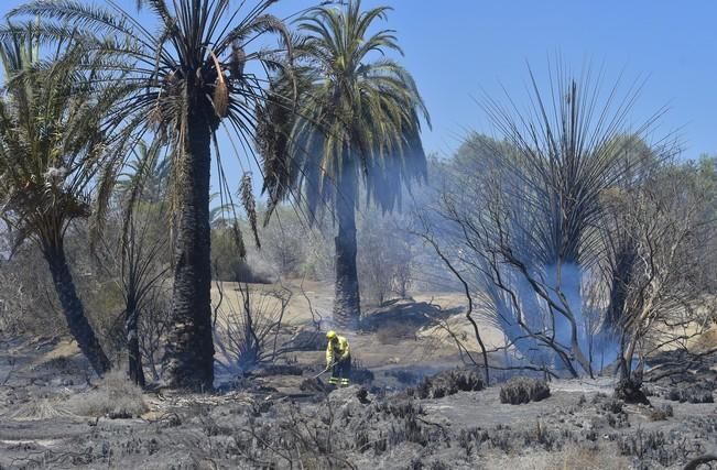 Incendio en la zona de las dunas de Maspalomas