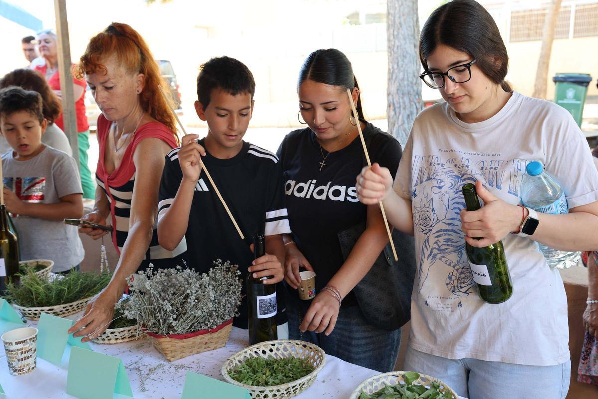 Taller de elaboración de hierbas ibicencas en Can Bonet