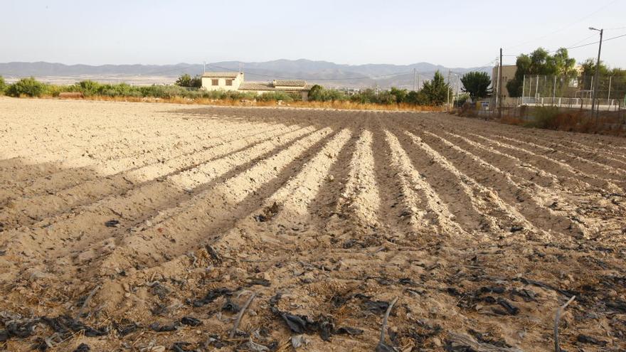 Los regantes auguran un «otoño caliente» por la escasez de agua