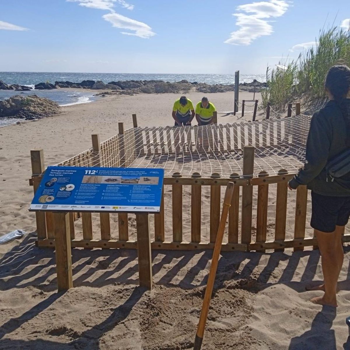 Les imatges de la troballa d'un niu de tortuga marina a la platja de Riells de l'Escala