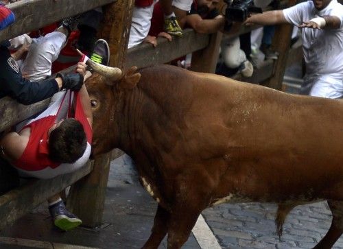 A runner is gored by a Miura fighting bull at San Fermin festival in Pamplona