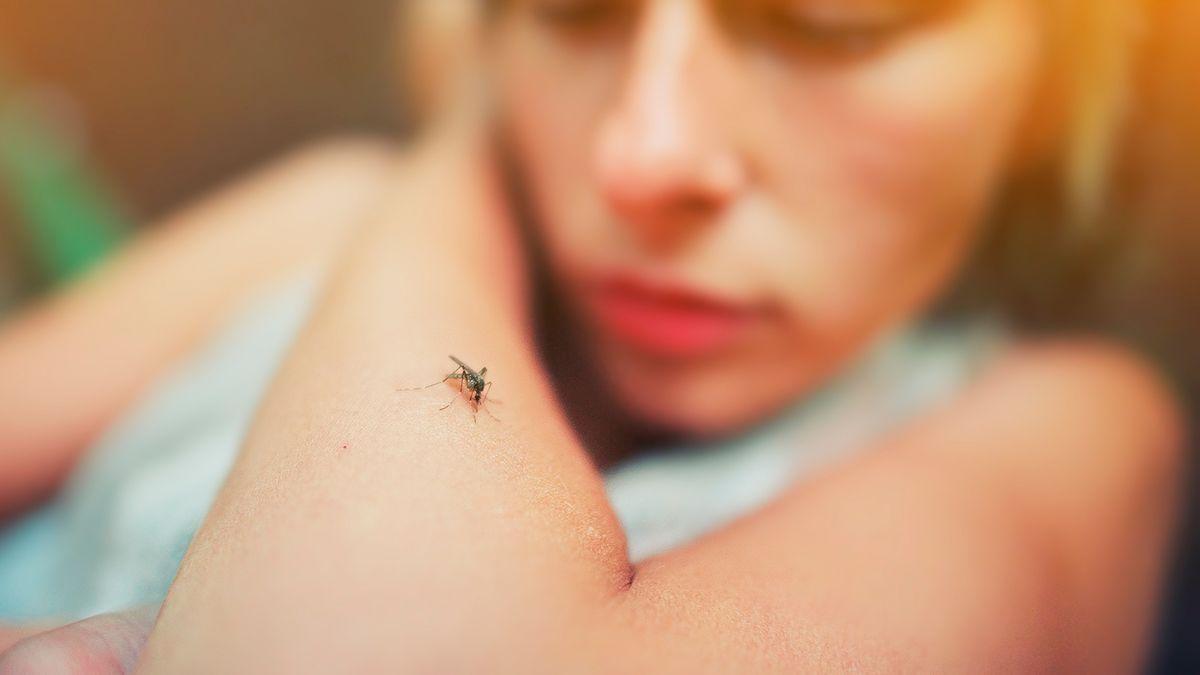 Coloca esta simple solución al lado de la ventana abierta para que los mosquitos no entren en casa