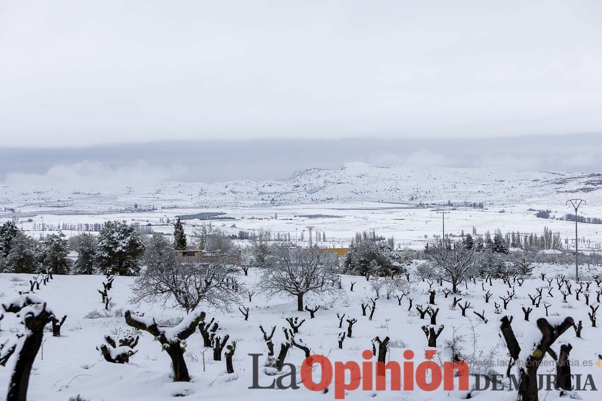 La comarca del Noroeste ofrece una estampa invernal