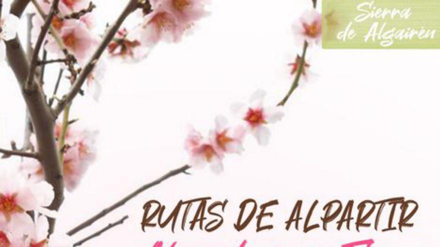 RurAlma organiza una ruta entre almendros en flor
