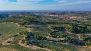 La finca Cuadrat Valley, entre Albagés y Juncosa.