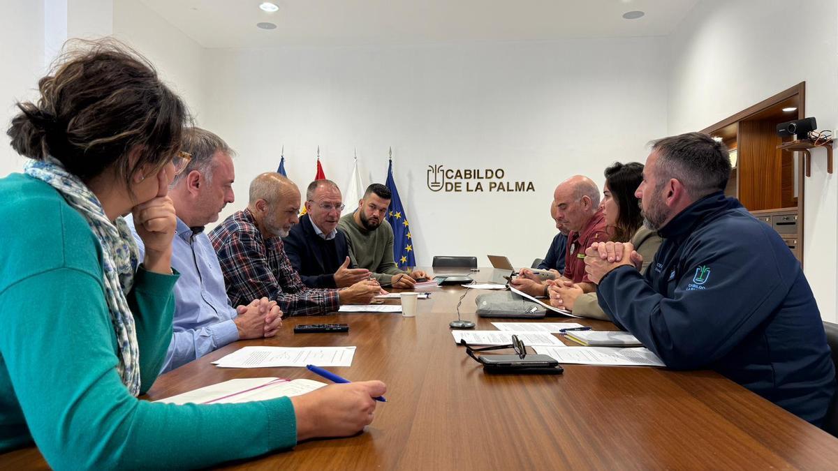 Reunión para crear la Mesa Insular de Bienestar Animal en La Palma.