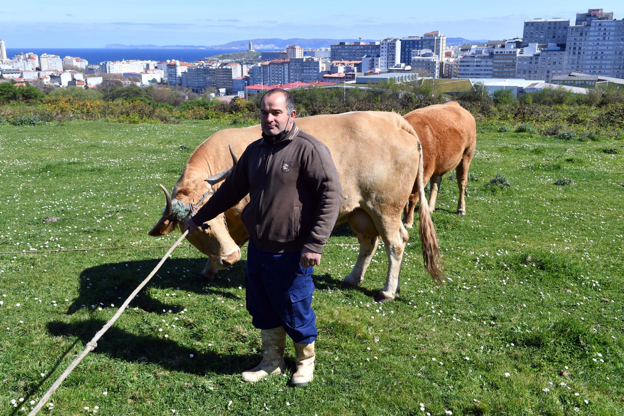 Luis Maceira y sus animales